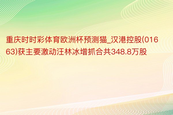 重庆时时彩体育欧洲杯预测猫_汉港控股(01663)获主要激动汪林冰增抓合共348.8万股