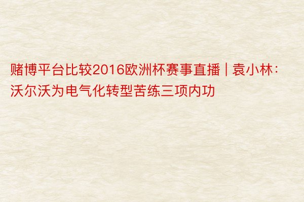 赌博平台比较2016欧洲杯赛事直播 | 袁小林：沃尔沃为电气化转型苦练三项内功