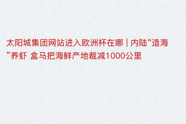 太阳城集团网站进入欧洲杯在哪 | 内陆“造海”养虾 盒马把海鲜产地裁减1000公里